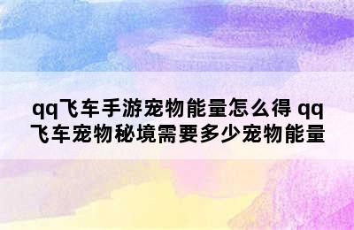 qq飞车手游宠物能量怎么得 qq飞车宠物秘境需要多少宠物能量